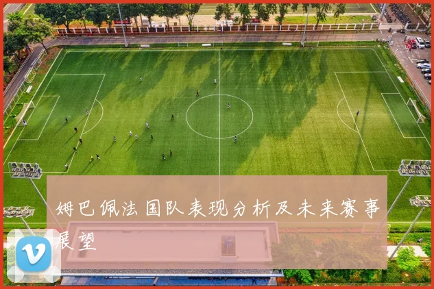 姆巴佩法国队表现分析及未来赛事展望