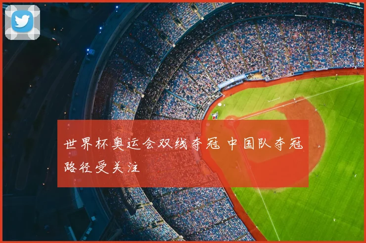 世界杯奥运会双线夺冠 中国队夺冠路径受关注