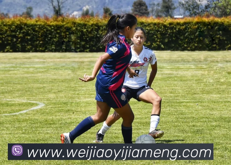 华体网首页官网APP 高清赛事图